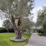 Apartment Elaia 2 Lefkada City